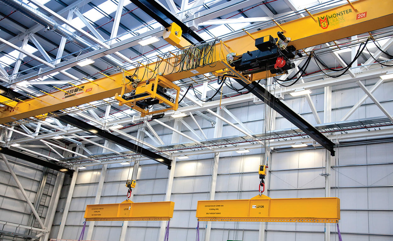 Çift Kedili Vinçler