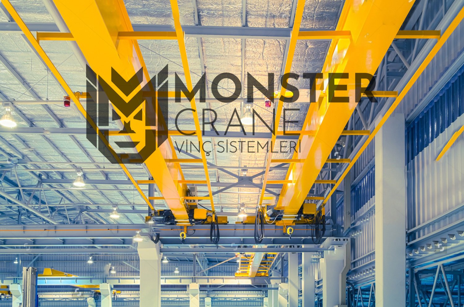 ÜÇ TON ALTI HAREKET GEZER TAVAN VİNÇ