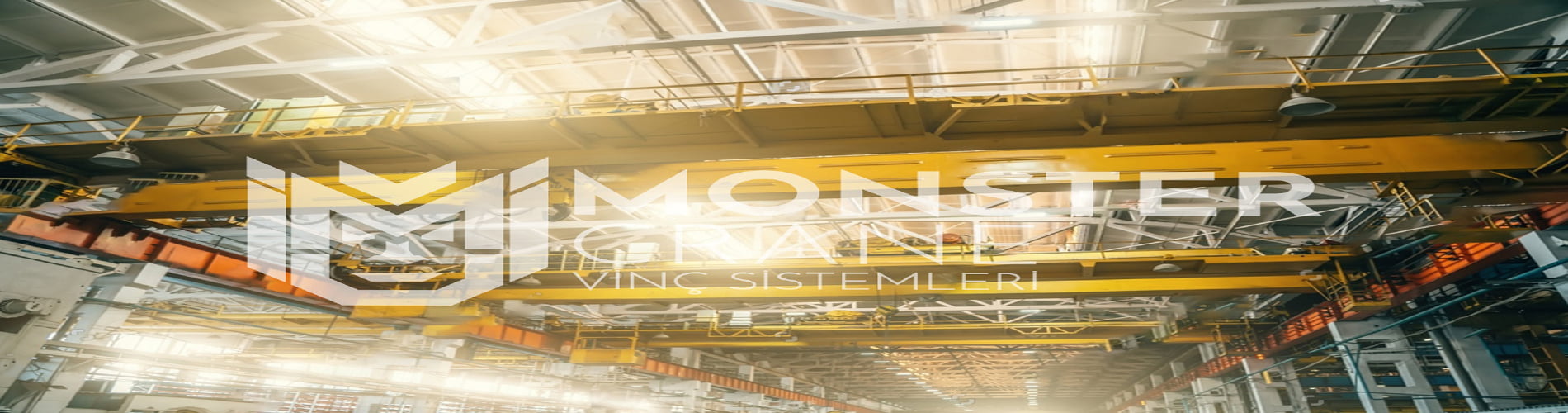 6.3 TON ALTI HAREKET GEZER TAVAN VİNÇ